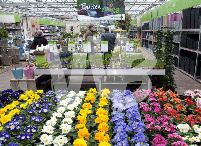 bloemen en planten vvbvanbree     1065